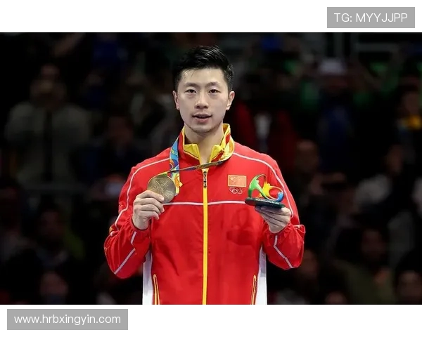 深圳乒乓球队个人能力深度解析与发展潜力探讨