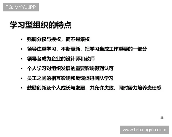 赵丽亲述滑板技巧与心得体会助你轻松入门与进阶之路