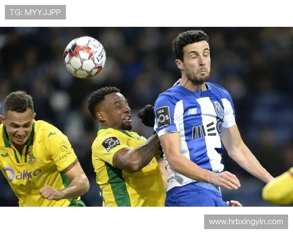 普罗夫对阵马里迪莫精彩对决分析与赛前预测