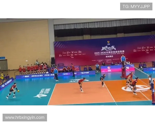 重庆排球队实力分析与发展潜力探讨在排球赛场的表现与挑战